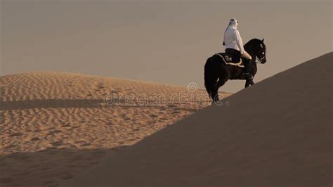 Arabian Horse Rider Riding On Desert In Dubai Stock Footage - Video of arab, equipment: 72870398