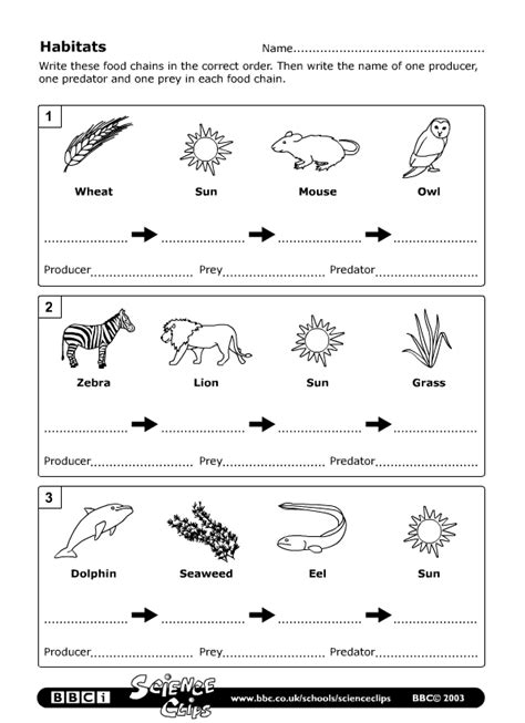 worksheet4b.gif (595×820) | Food chain worksheet, Science food chains, Food chain