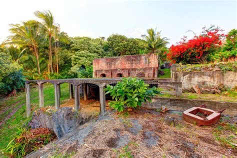 Maui Sugar Cane Plantation Fields Burning Stock Photo - Image of maui, burning: 164376390