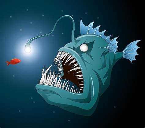 Anglerfish