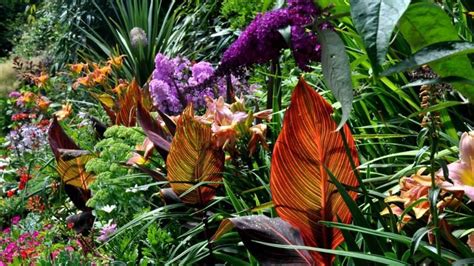 Tropical Garden Design Australia - Under Asia