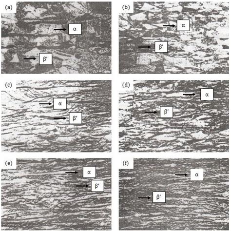 Initial microstructure photograph of Brass | Download Scientific Diagram