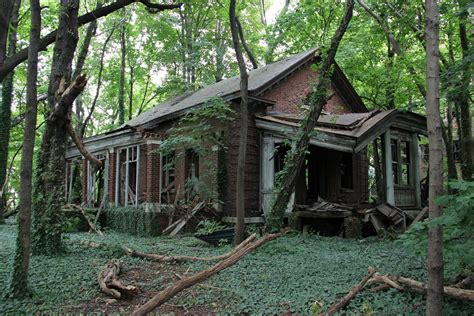 Online crop | brown and white wooden house ruin, abandoned, forest HD wallpaper | Wallpaper Flare