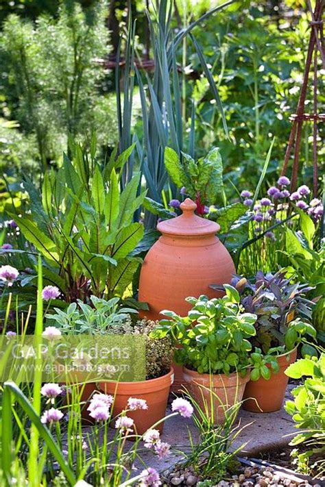 Display of potted he... stock photo by Robert Mabic, Image: 1331233