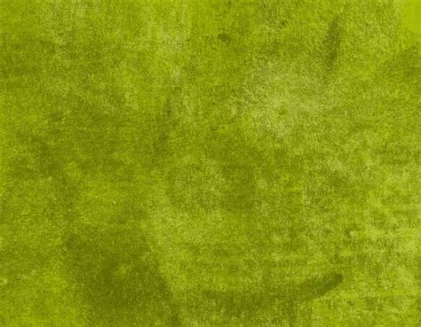 Weird pictures of shrek Stock Photos, Royalty Free Weird pictures of shrek Images | Depositphotos