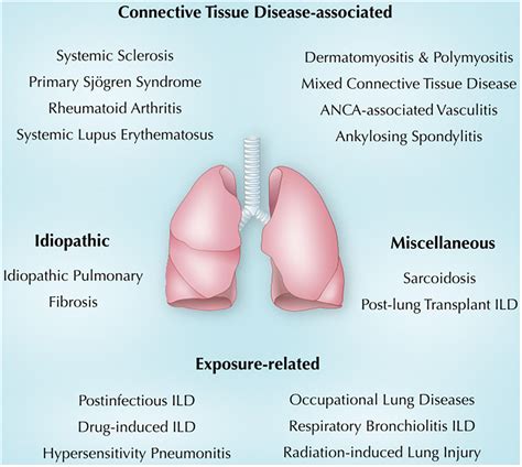 Diffuse Interstitial Lung Disease Causes Symptoms