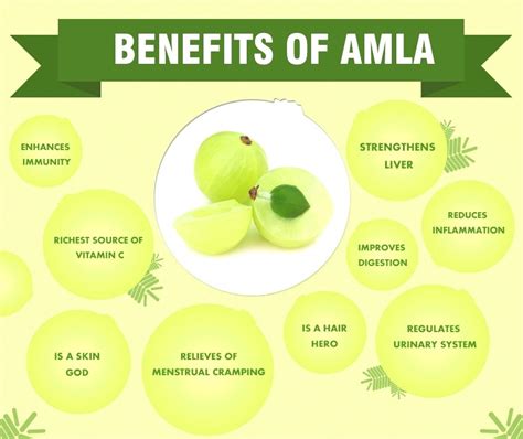 Top 10 Amazing Benefits Of Amla - The Indian Gooseberry