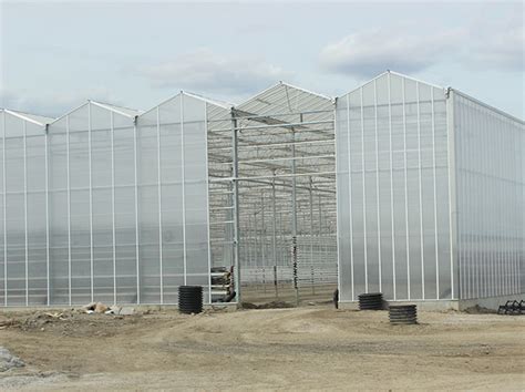 Greenhouse construction put on hold - Greenhouse CanadaGreenhouse Canada