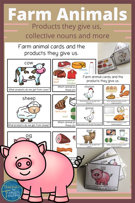 Farm Animals And Their Products Chart