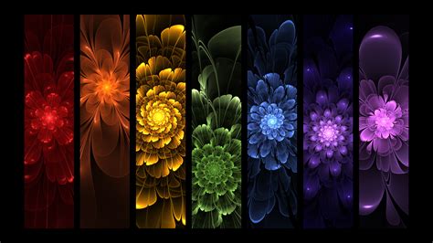 Rainbow Flowers wallpaper | 1920x1080 | #66626