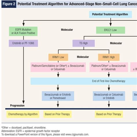 Radiation For Non Small Cell Lung Cancer - CancerWalls