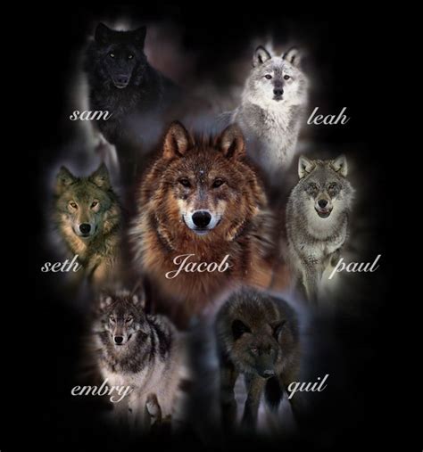 Twilight Wolf Pack Names And Colors