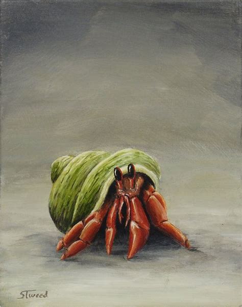 Daily Painting Red Hermit Crab in Green Shell by SandyTweed, $75.00 | Hermit crab, Crab art ...