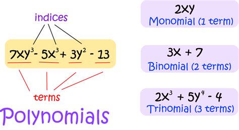 Division Of Monomials Calculator