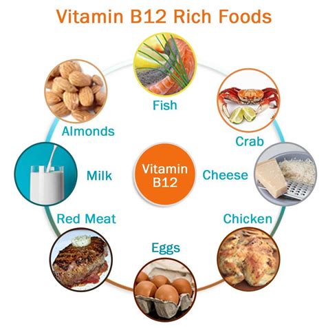 NCLEX RN Practice Question # 767 - Medical eStudy | B12 rich foods, Vitamin b12 foods, Vitamin ...