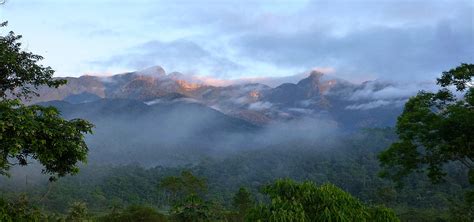 Southern Brazil - Wildlife-Lodges