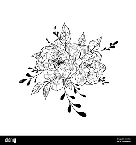 Composition of peonies with leaves. Technique - black and white graphics. Outline drawing, line ...