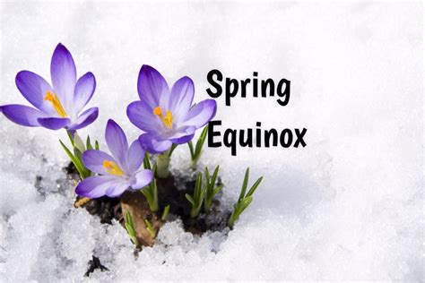 Spring Equinox 2023 - CamillusInty