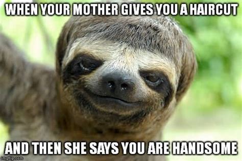 13+ Cute Sloth Memes for Your Absolute Enjoyment – Happy Sloth Co.