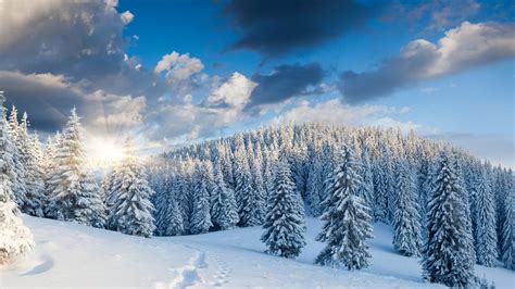 Winter Night 2560x1440 Wallpapers - Wallpaper Cave