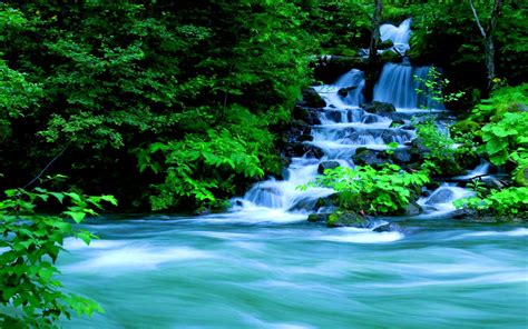 Forest waterfall... | Waterfall wallpaper, Forest waterfall, Nature wallpaper