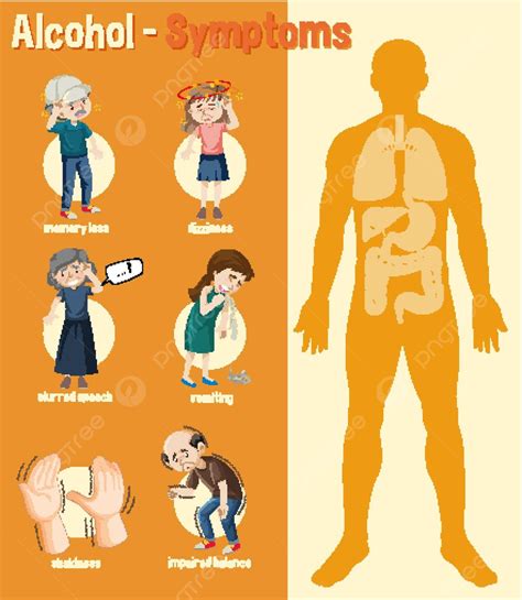 Effects Of Alcohol Information Infographic Clip Art Atherosclerosis ...