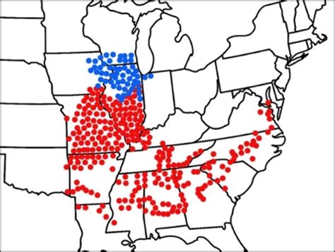 Periodical Cicadas 2024 Illinois Map - Nonah Annabela