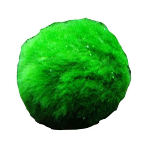 Marimo Moss Ball Shrimps Snails Playing Algae Growth Plant Aquarium Fish Tank Landscape ...