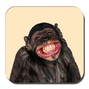 Chimpanzee Coaster Funny Chimp Smiling Laughing Cream