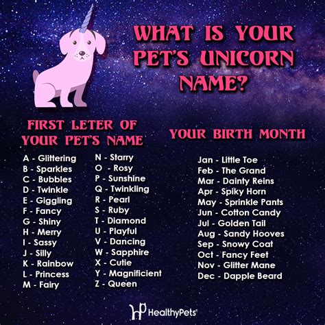 What Is Your Pet's Unicorn Name? | HealthyPets Blog