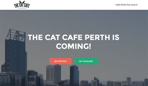 Cat Cafe Perth Helping Rescue Cats Will Open Soon In Western Australia! | Ozzi Cat. Australian ...