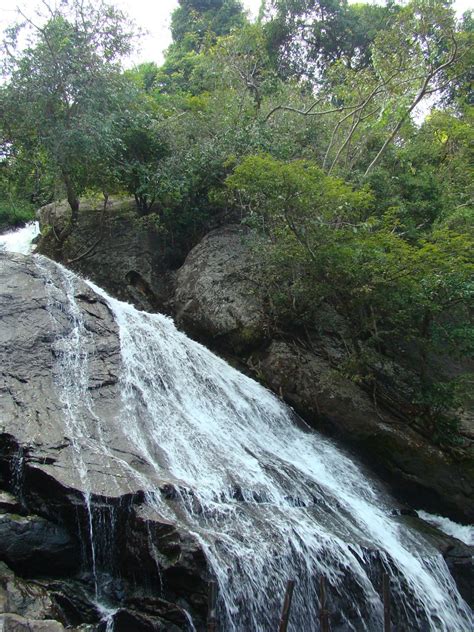 4 waterfalls in Coimbatore | nature wildlife in Coimbatore