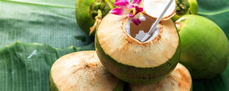 Young coconut vs old coconut benefits: which one is better? - Nutrition-Facts 2025