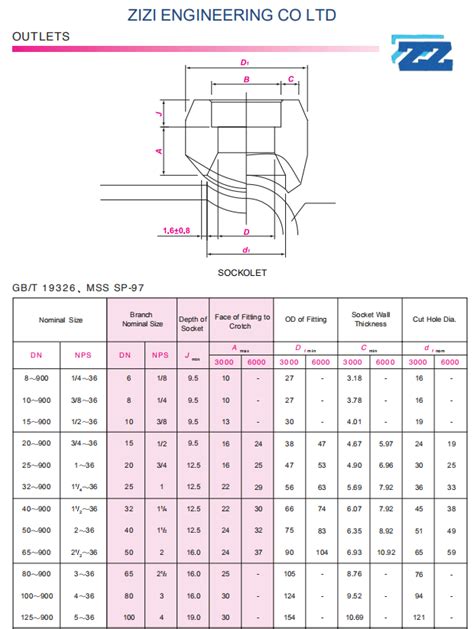 MSS SP-97 Sockolet Fittings | Stainless Steel Sockolet--SHANGHAI ...