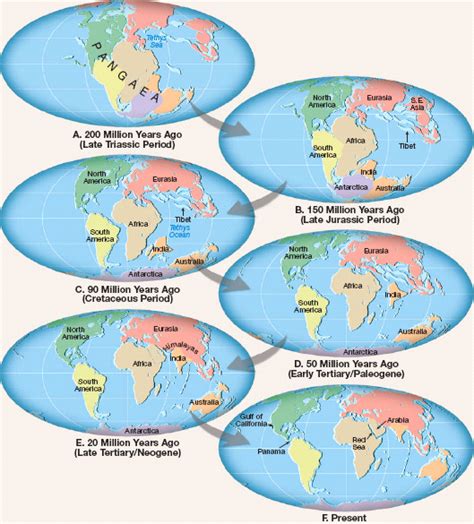 Solved: During the breakup of Pangaea, which continent was actu... | Chegg.com