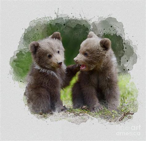 Two bear cubs Painting by John Guthrie | Pixels