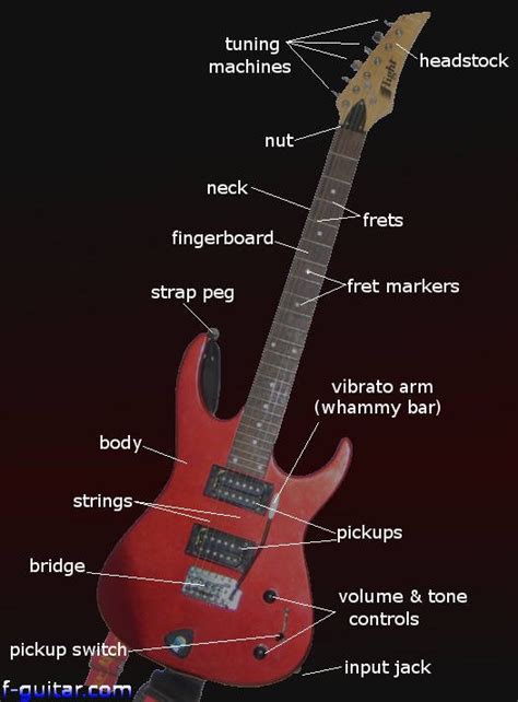 11+ Parts Of Guitar Diagram - TungWilber