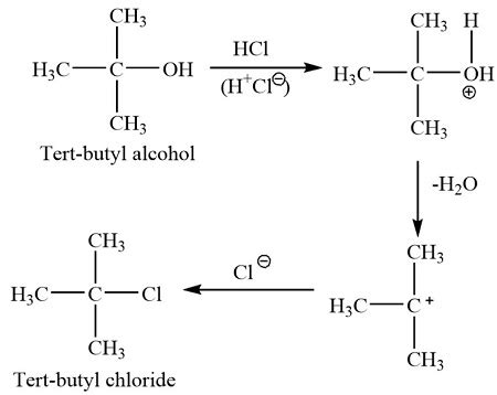 Describe/explain the reaction mechanism(SN1) of tert-butyl-alcohol ...