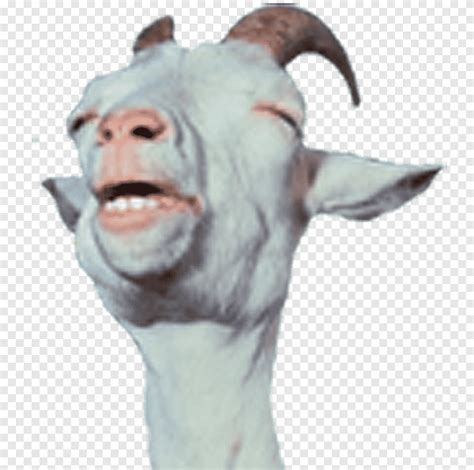 Goat Face Meme - Captions Profile