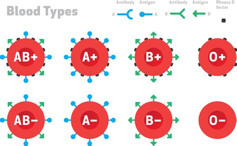 Coronavirus: People with this blood type might be more susceptible - Study - Adomonline.com