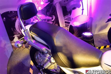 2018 Bajaj Avenger 220 Cruise Backrest - AUTOBICS