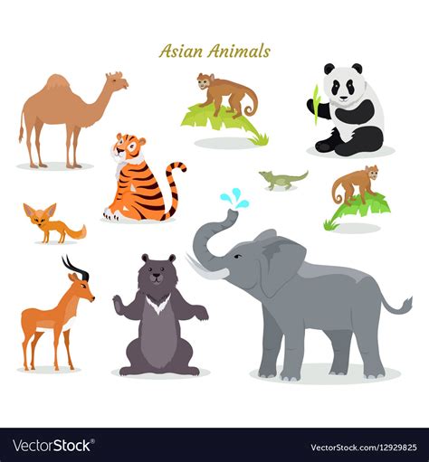 Asian Animals Fauna Species Camel Panda Tiger Vector Image