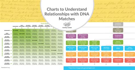 Charts to Understand Relationships with DNA Matches – Family Locket