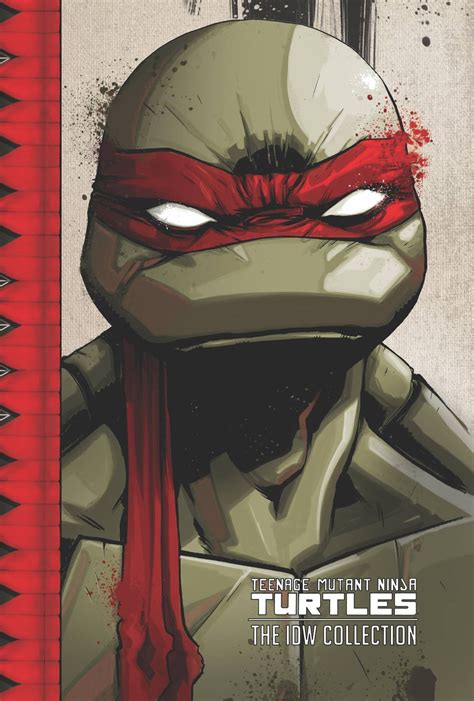 Teenage Mutant Ninja Turtles Comics: Where to start in 2022 — Comics Bookcase