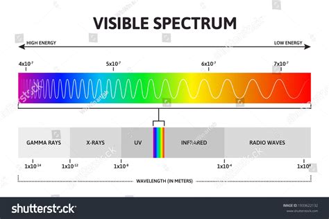 4,868 Visible Light Spectrum Images, Stock Photos & Vectors | Shutterstock