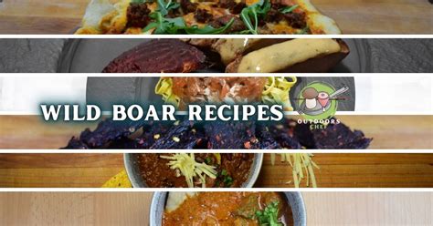 Wild Boar Recipes (My 6 Favorite) - OutdoorsChef