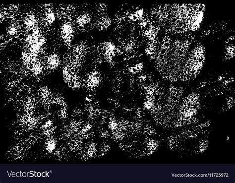 Abstract white sponge stains texture design Vector Image