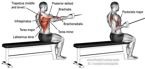 seated row machine form - Parfait Blogger Photo Galery