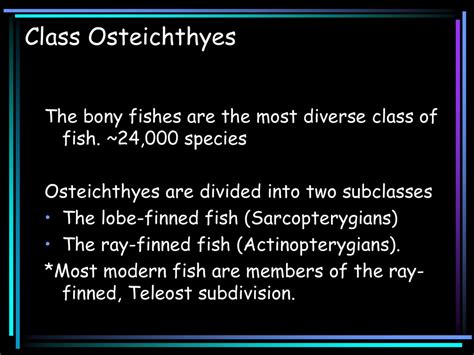 Osteichthyes The Bony Fish. - ppt download