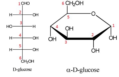 organic chemistry - Fischer to Haworth projection: which carbon connects to the oxygen ...